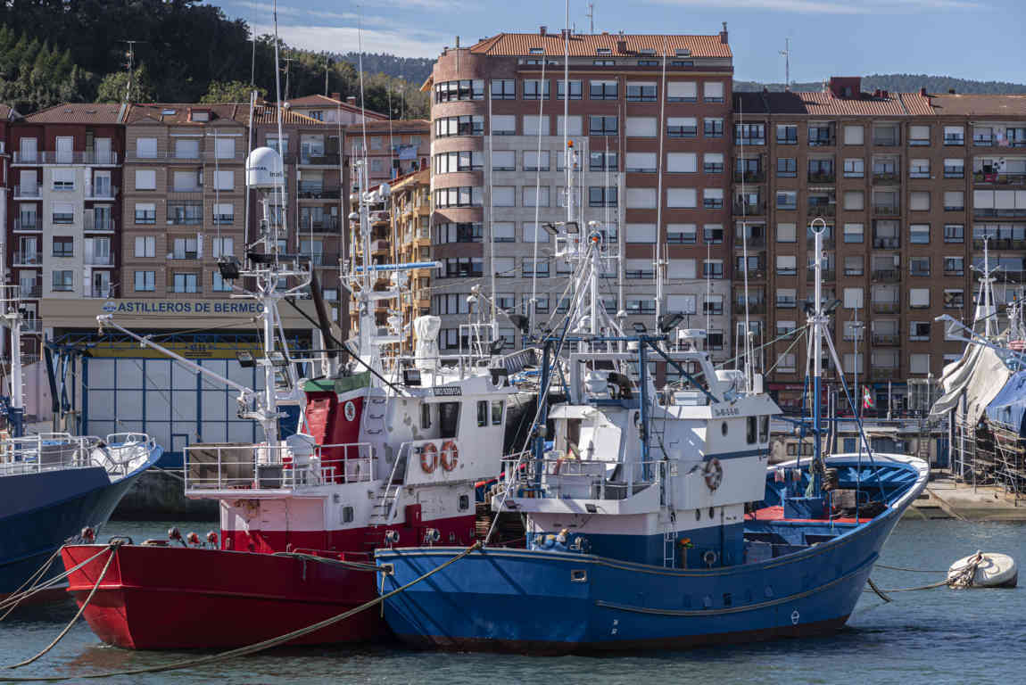 Vizcaya - Bermeo 07 - puerto.jpg